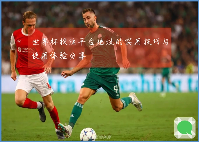 世界杯投注平台地址的实用技巧与使用体验分享