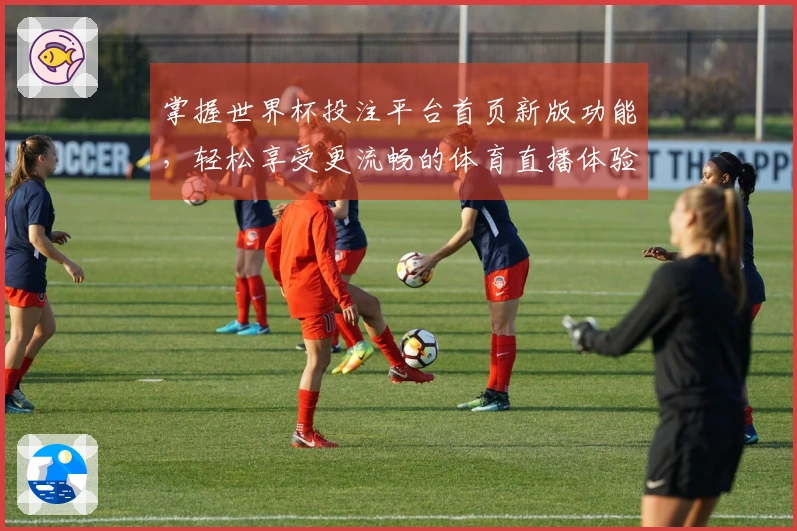 掌握世界杯投注平台首页新版功能，轻松享受更流畅的体育直播体验