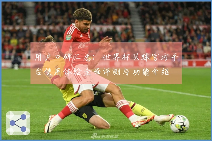 用户口碑汇总：世界杯买球官方平台使用体验全面评测与功能介绍