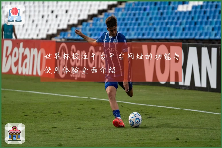世界杯投注平台平台网址的功能与使用体验全面介绍