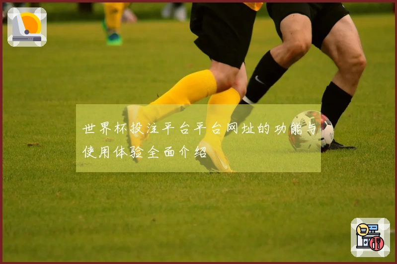 世界杯投注平台平台网址的功能与使用体验全面介绍