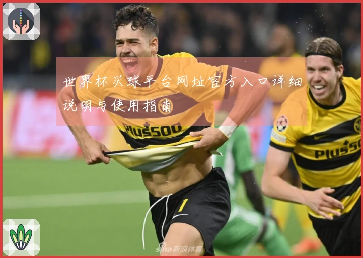世界杯买球平台网址官方入口详细说明与使用指南