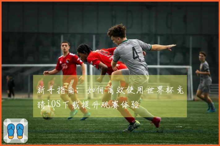 新手指南:如何高效使用世界杯竞猜iOS下载提升观赛体验