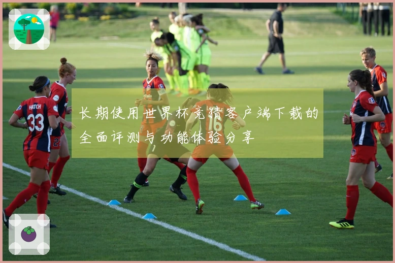 长期使用世界杯竞猜客户端下载的全面评测与功能体验分享