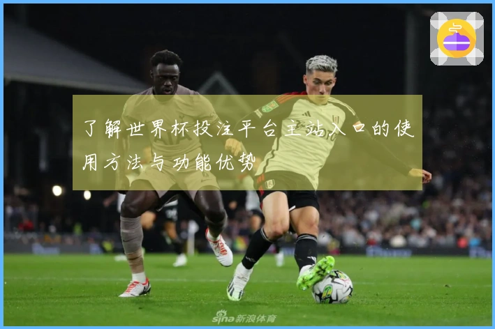 了解世界杯投注平台主站入口的使用方法与功能优势