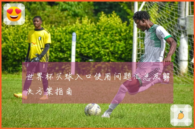 世界杯买球入口使用问题汇总及解决方案指南