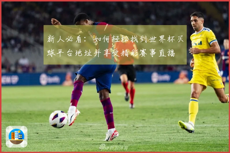 新人必看：如何轻松找到世界杯买球平台地址并享受精彩赛事直播